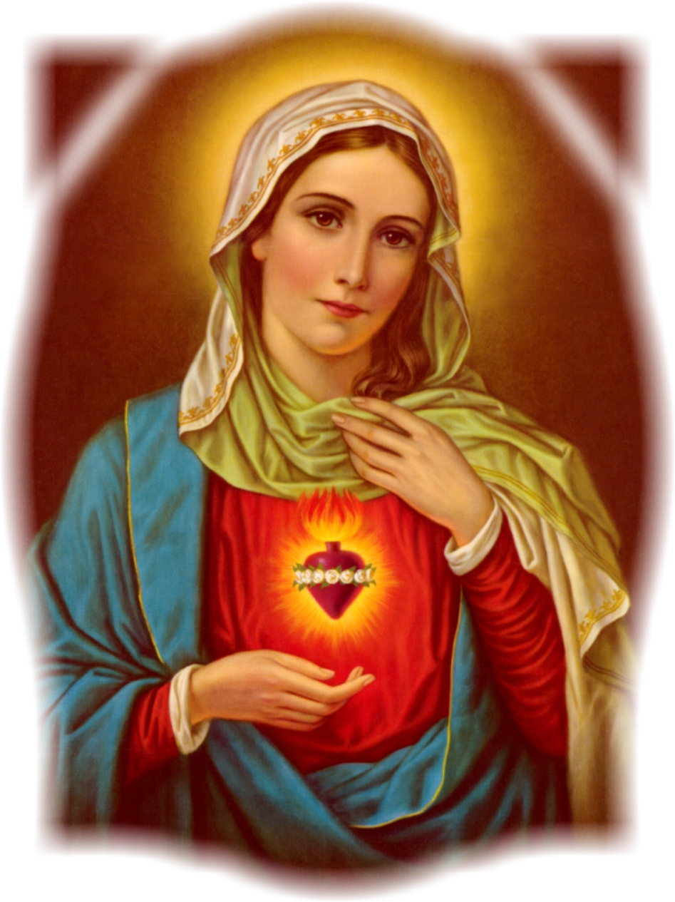 Driving a gifted vehicle, celebrating the Immaculate Heart – Catholic