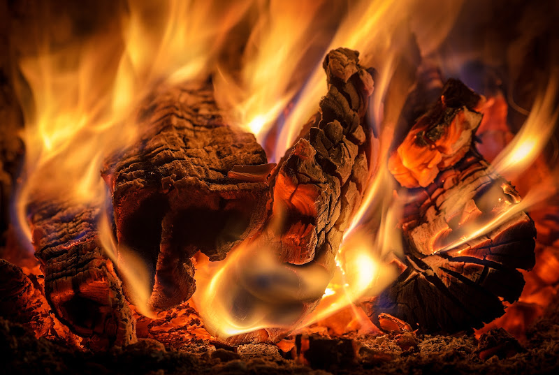 burning logs image 2 Guide 2015