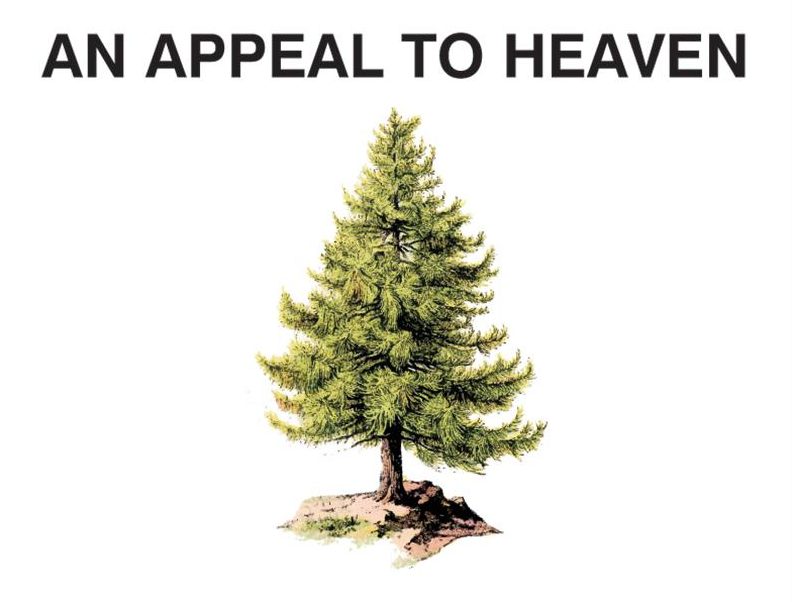 pine-tree-flag-good