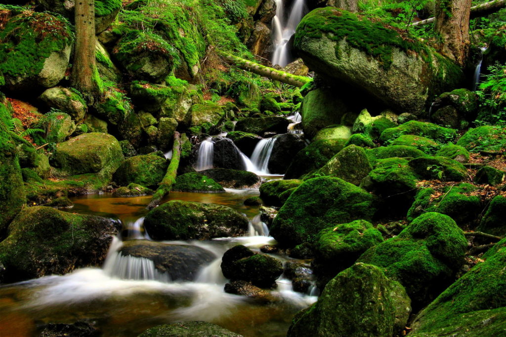 forest-river-waterfall-trees-rocks-nature-wallpaper-1